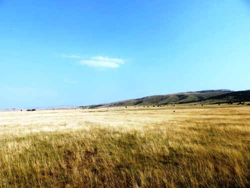 Fotoreportaža s ramskog hodočašća Gospi u Sinj