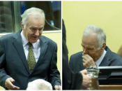 Rusija zatražila puštanje Ratka Mladića