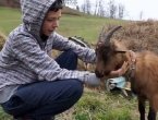 Dječak koji je ganuo regiju: Ispunjena mu najveća želja dobio 25 koza
