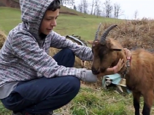Dječak koji je ganuo regiju: Ispunjena mu najveća želja dobio 25 koza