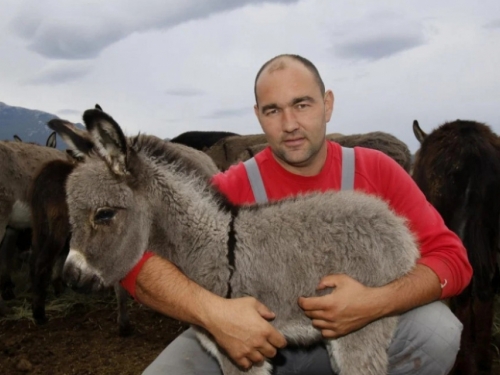Sve je krenulo kao hobi s četiri konja, a danas Andrija na farmi ima 250 magaraca