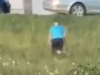Sudac spašavao glavu nakon utakmice Druge kantonalne lige