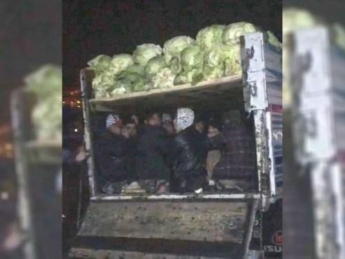 U kamionu natovarenom kupusom otkriveno 38 migranta
