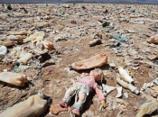 Čovječanstvo je prešlo granicu onečišćenja okoliša plastikom i kemikalijama