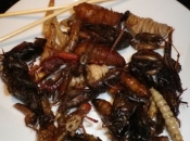 Zašto EU uvodi insekte u prehranu? Cvrčci, skakavci, crvi na meniju