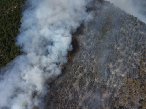 VIDEO/FOTO: Požar u Podboru - Vatrogasci nemoćni, borovina gori nekontrolirano