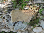 Kroz geološku prošlost i mineraloško-petrografsku složenost općine Prozor-Rama