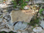 Kroz geološku prošlost i mineraloško-petrografsku složenost općine Prozor-Rama