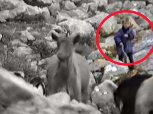 VIDEO: Mali pastir sa snimke se zove - Luka Modrić!