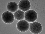Znanstvenici stvorili sićušne nanorobote kojima će liječiti aneurizme mozga