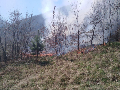 Požar u Donjoj Rami se širi, gase ga vatrogasci i mještani