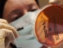 Kod četiri osobe u Hrvatskoj pronađen virus H1N1