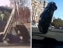 Pogledajte kakvi luđaci za volanom haraju ruskim cestama!