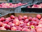 Drastično porastao izvoz voća i povrća iz BiH u Rusiju. Prijete nam sankcije!