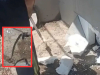 Zmije skrivene u fasadi obiteljske kuće