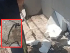 Zmije skrivene u fasadi obiteljske kuće