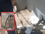Zmije skrivene u fasadi obiteljske kuće