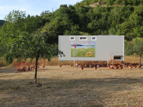 FOTO: Pokretna farma koka stigla u Ljubunce, evo gdje možete kupiti jaja