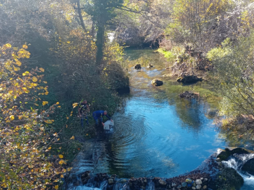 Elektroprivreda HZ HB poribljavala Ramsko jezero i rijeku Ramu