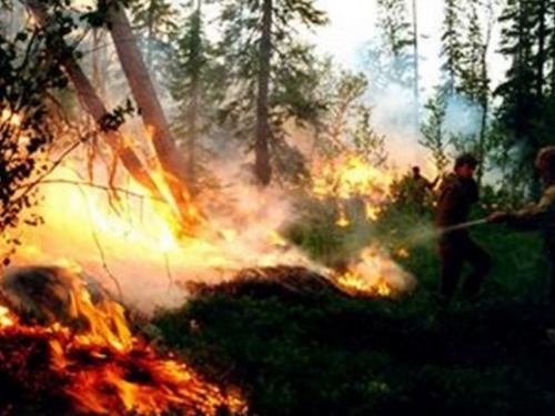 Ekolozi strahuju da bi požari u Rusiji mogli doseći povijesne razmjere