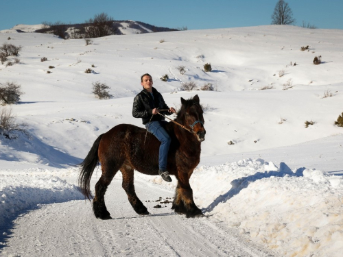 FOTO/VIDEO: Ljepota naizgled nespojivog