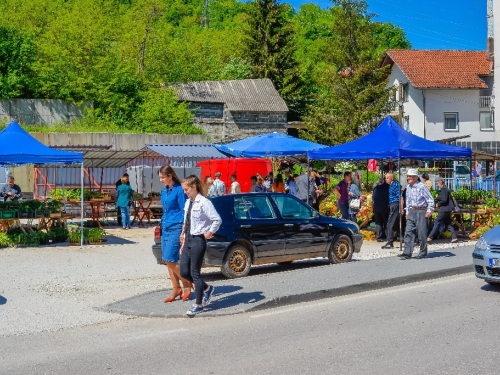 Duhovi ili Dovi u Prozoru