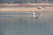 FOTO: Veslačka regata na Ramskom jezeru