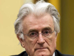 Karadžić traži blažu kaznu