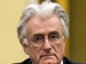 Karadžić traži blažu kaznu