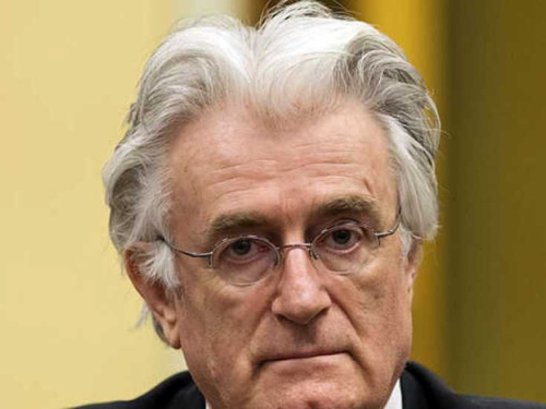 Karadžić traži blažu kaznu