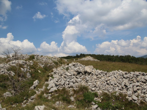 Na Ravašnici...