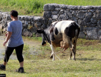 125 KM mjesečno svakom djetetu koje ide u školu na selo