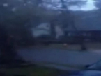 Pogledajte kako uragan Sandy s lakoćom čupa drveće