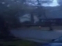 Pogledajte kako uragan Sandy s lakoćom čupa drveće