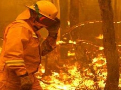 Rekordne vrućine u Australiji