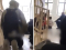 Izraelski napadi na škole na Zapadnoj obali su sve češći