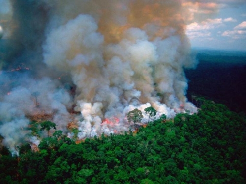 'Bogatuni' se digli zbog Amazonije