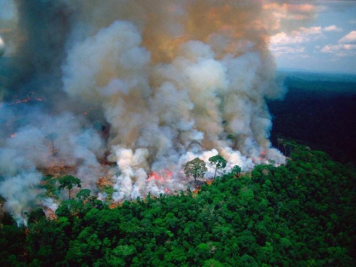 'Bogatuni' se digli zbog Amazonije