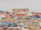 U Federaciji BiH 1.800 braniteljskih udruga: Tko zapravo dobiva novac?