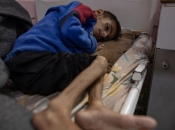 Najmanje 22 Palestinca ubijena dok su čekali hranu