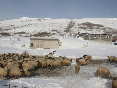 FOTO: Čuvari ''Ramskih vrata''