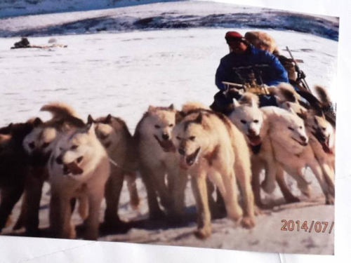 Ramljak Petar Lovrić, član polarne ekspedicije na Arktik