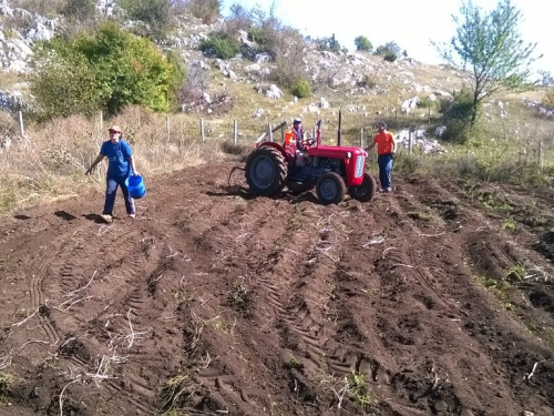 Ubiranje plodova svoga rada