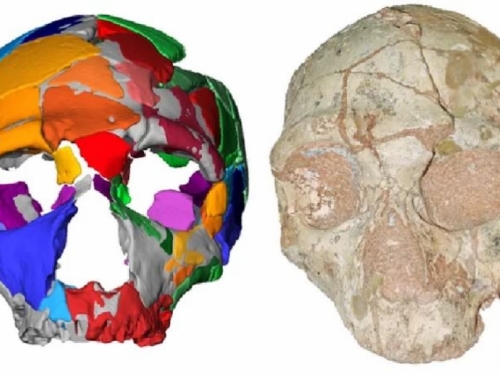 U Grčkoj nađeni najstariji ostaci modernog čovjeka izvan Afrike
