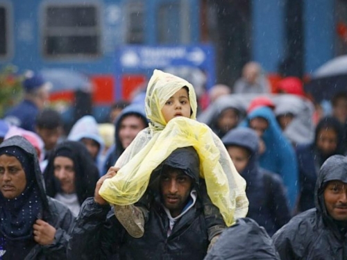 Oko 11 tisuća migranata napustio teritorij BiH