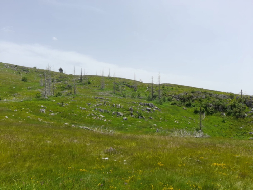 FOTO/VIDEO: Slovom od Rame do Međugorja