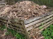 Kako kompostirati opalo lišće?
