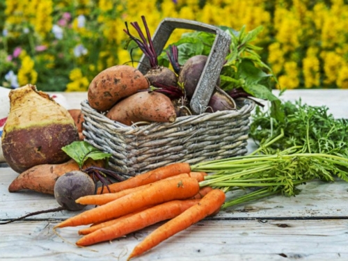 7 trikova kako da vam povrće i voće ne istruli u hladnjaku