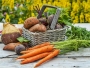 7 trikova kako da vam povrće i voće ne istruli u hladnjaku