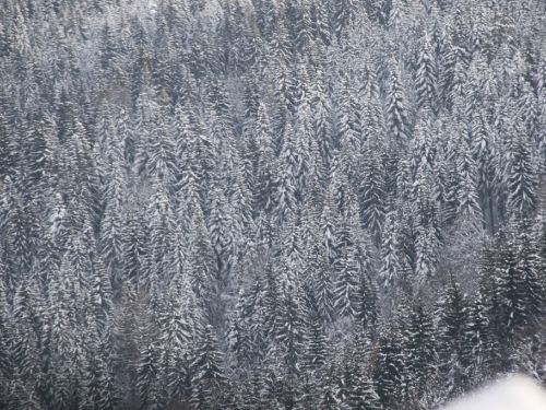 FOTO: Čuvari ''Ramskih vrata''